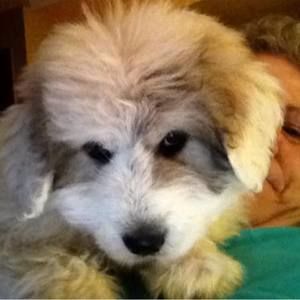 Meet your Posher, Deborah